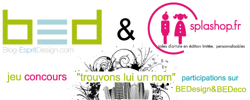 Concours "Trouve lui un nom" en partenariat avec Splashop