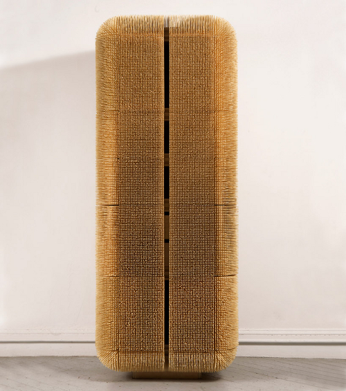 Sculpture ou Armoire par Sebastian Errazuriz