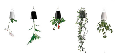 Sky planter, la verdure s’installe partout !