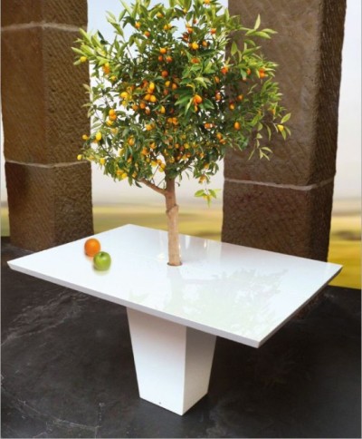 Table manger sous un arbre par Style Mezza