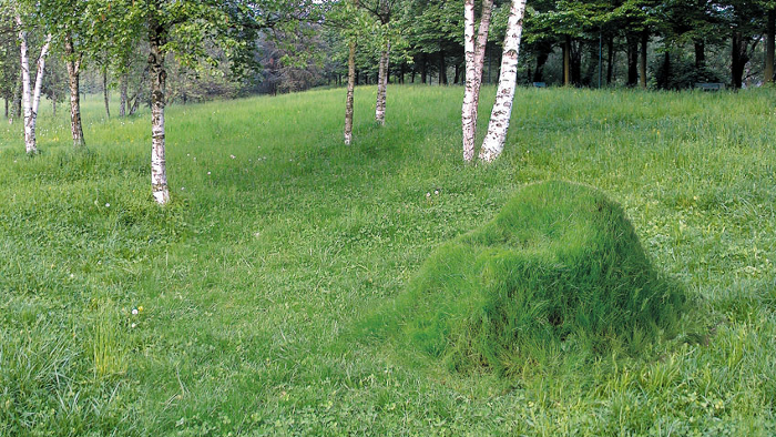 TERRA GRASS ARMCHAIR : MOBILIER NATUREL