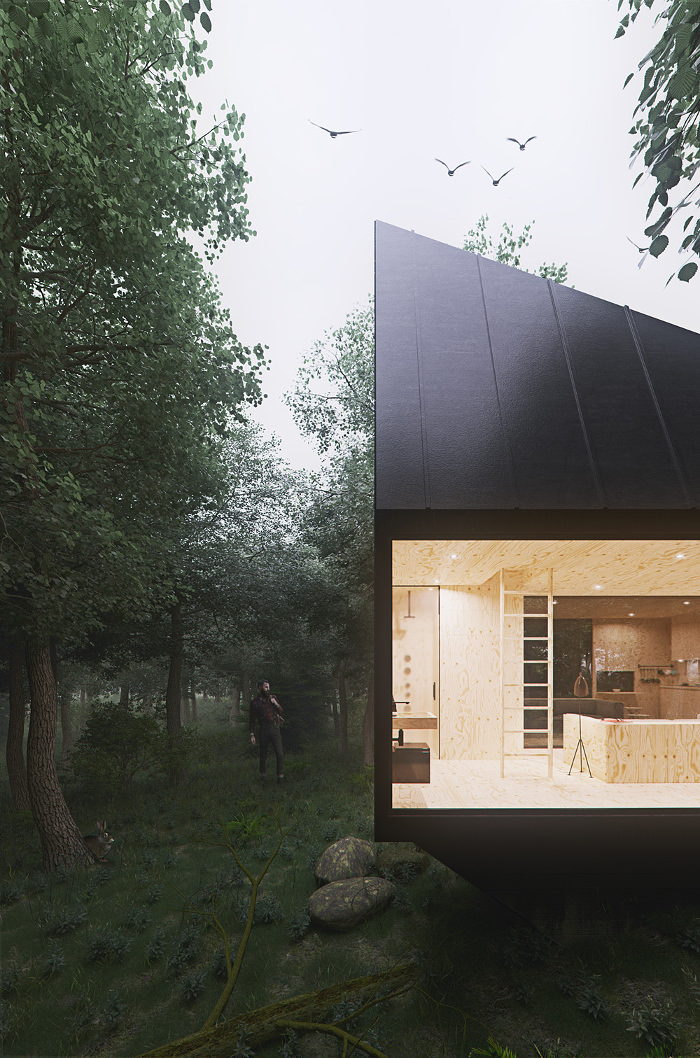 Cabin in the forest par Tomek Michalski