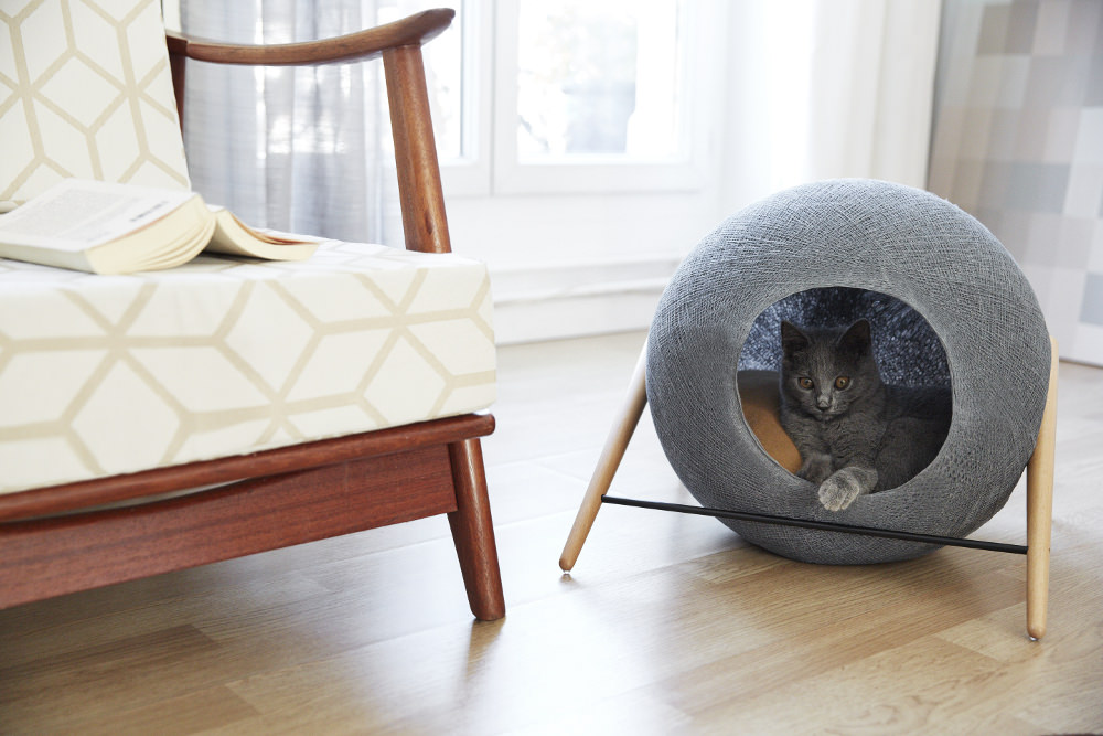 Crowdfunding : Mobilier Ball pour chat par Meyou Paris